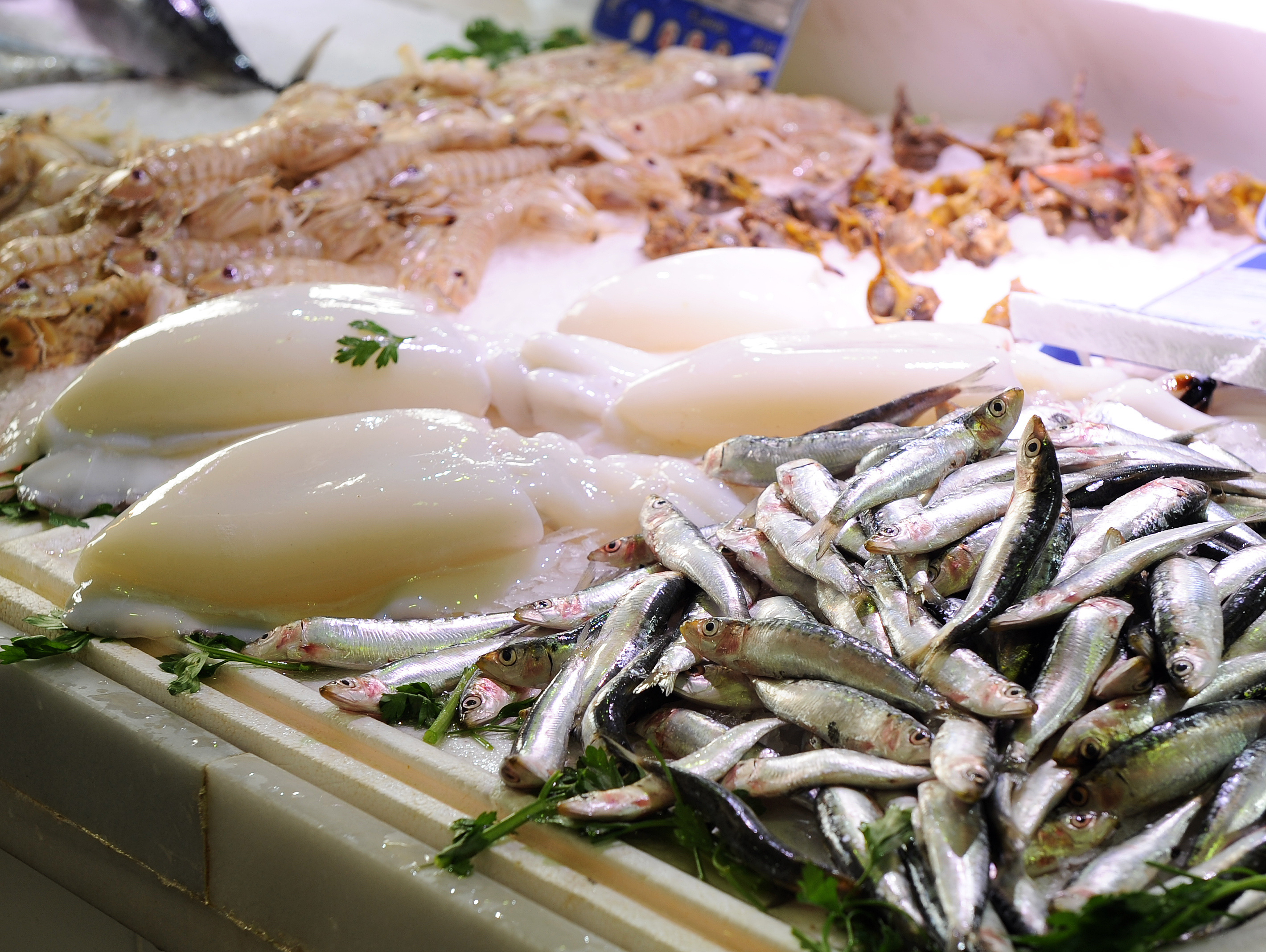 Iluminación para pescaderías