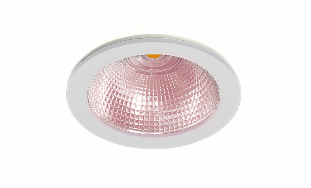 downlight 130 iluminacion para alimentacion carne blanca